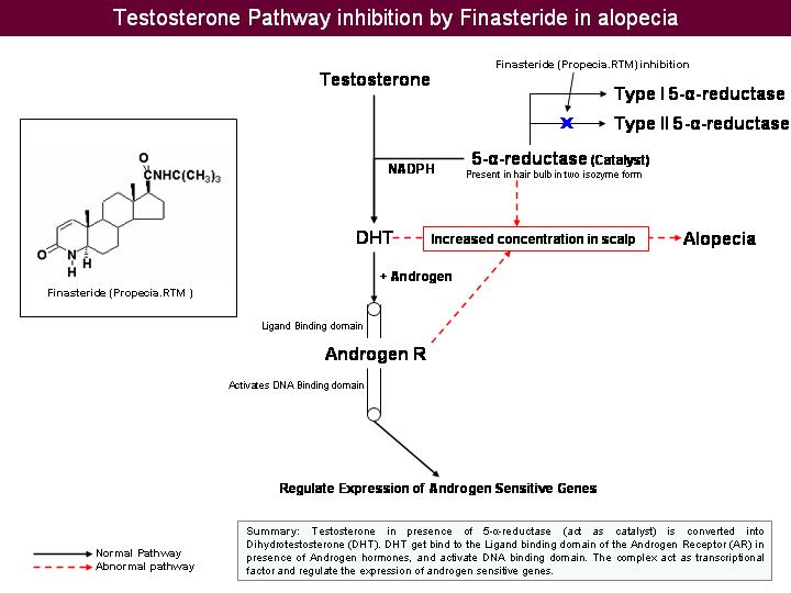 5 - alpha reductase inhibitors