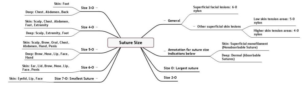 Suture Size Chart