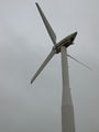 Wind Energy.JPG