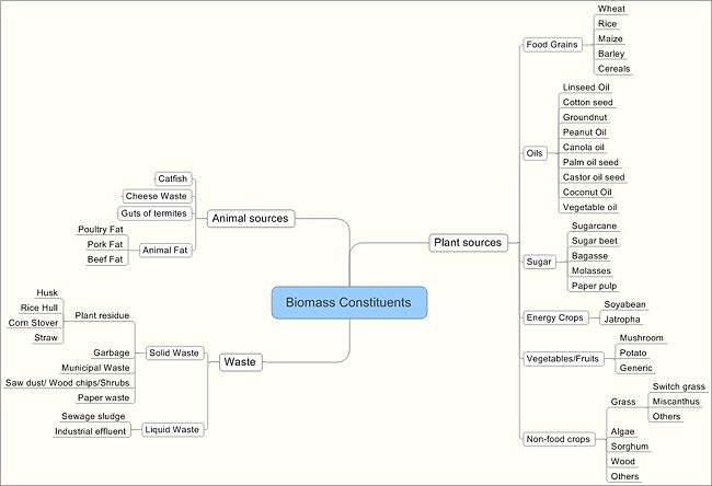 Biomass Sources Taxonomyup.JPG